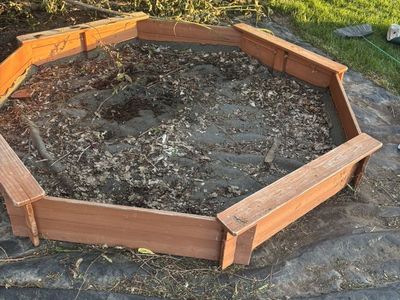 Free SandbOx, Trampoline Springs
