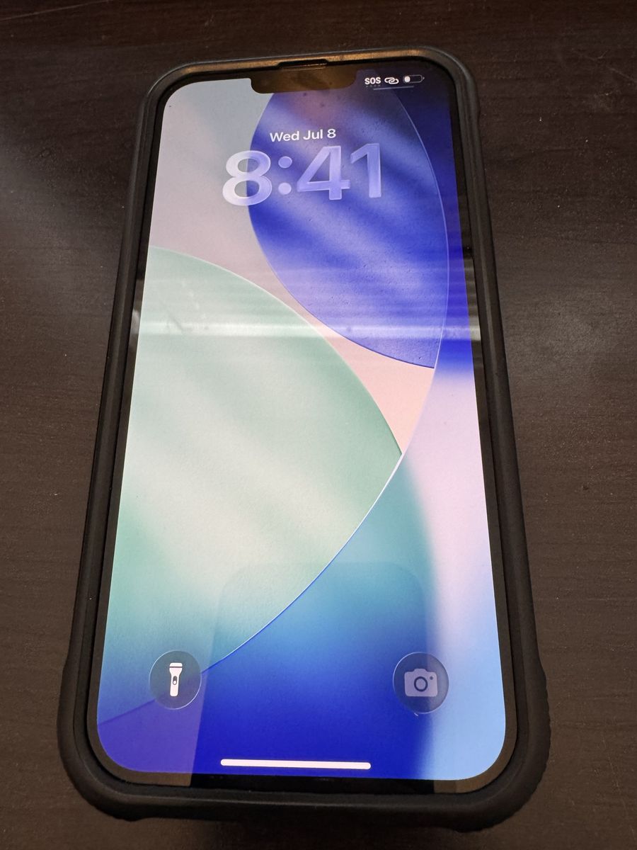 Apple iPhone 13 Pro Max - 256GB - Unlocked, case included