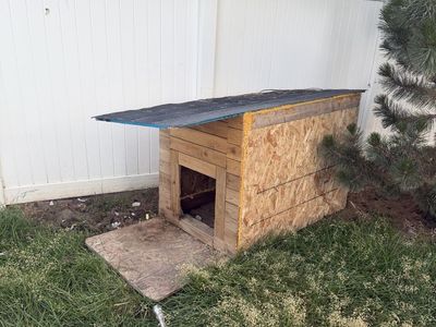 Large outdoor Dog House with heater