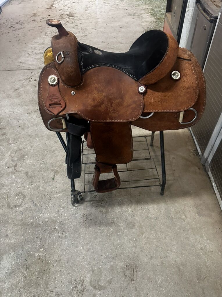 Training Saddle