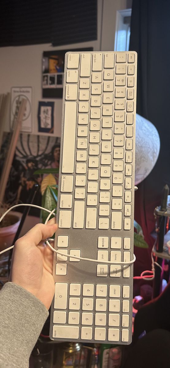 Apple Wired Keyboard (Model A1243)