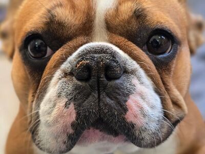 Hello my name is Birdie