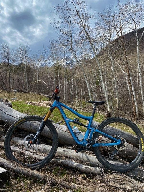 ripmo ibis large