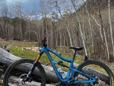 ripmo ibis large
