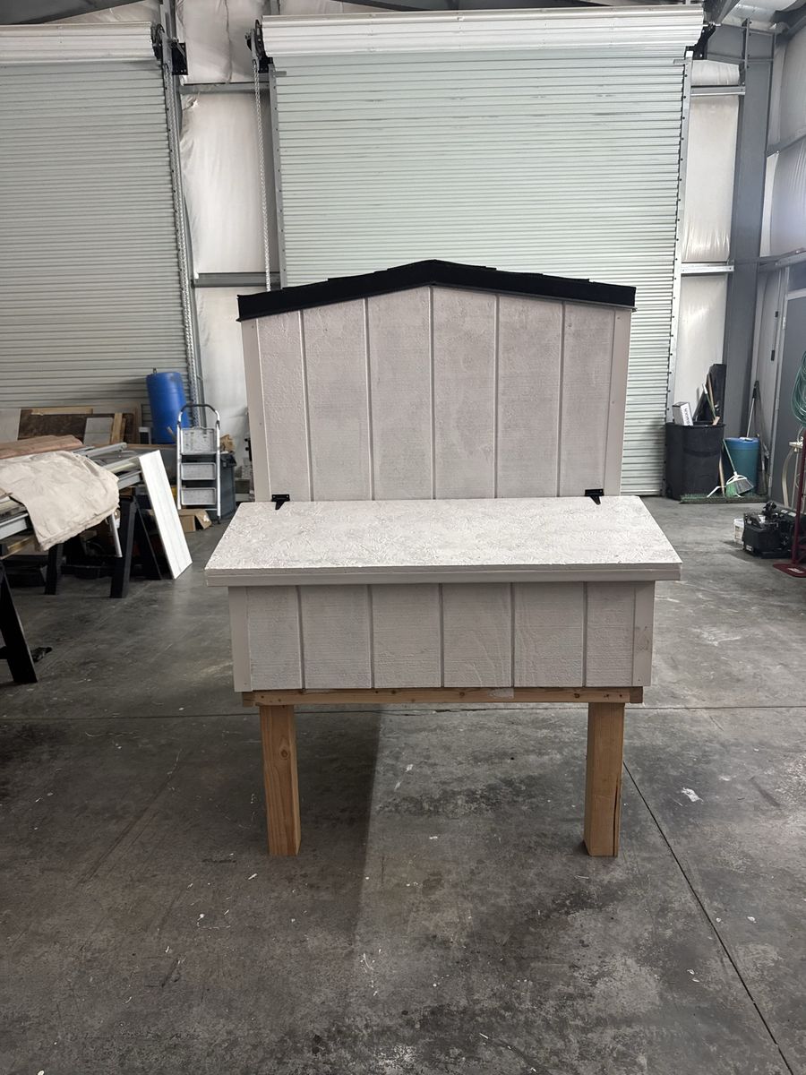 Main image 5