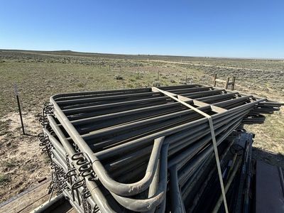 10’ corral panels