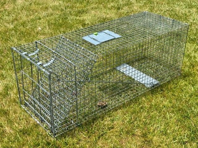 Extra-Large 42" Live Animal Trap