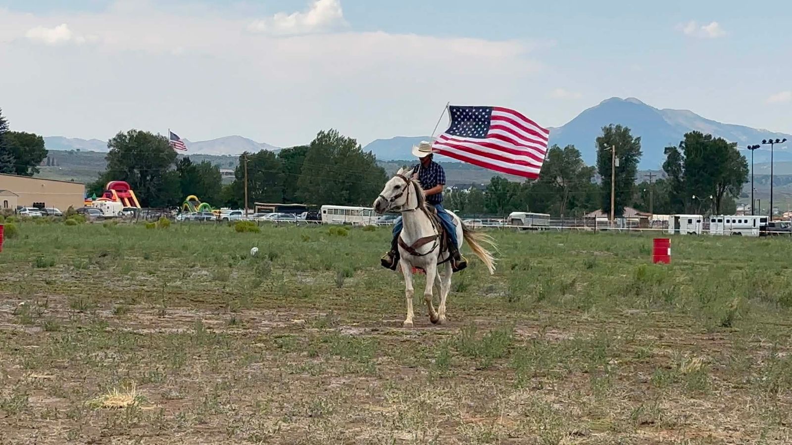 All around gelding