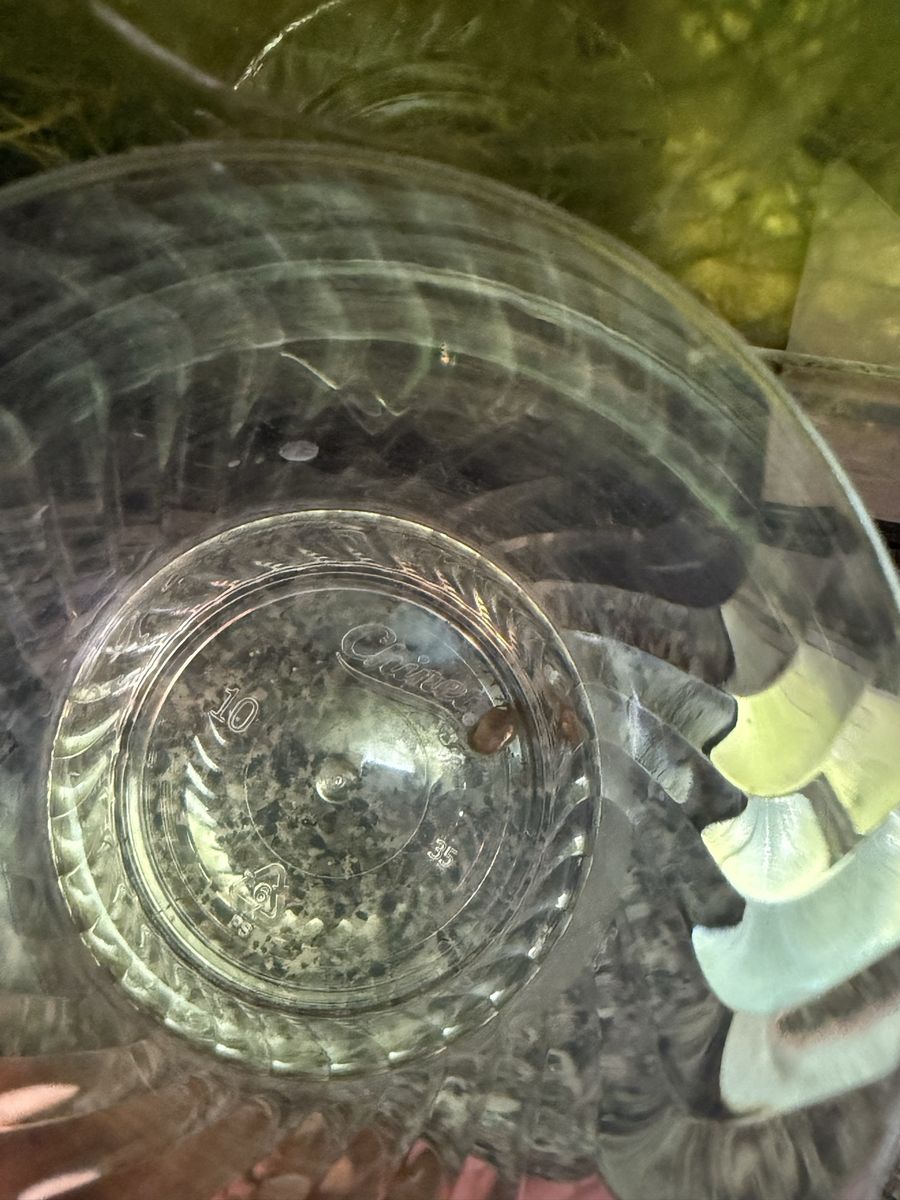 Mystery Snail