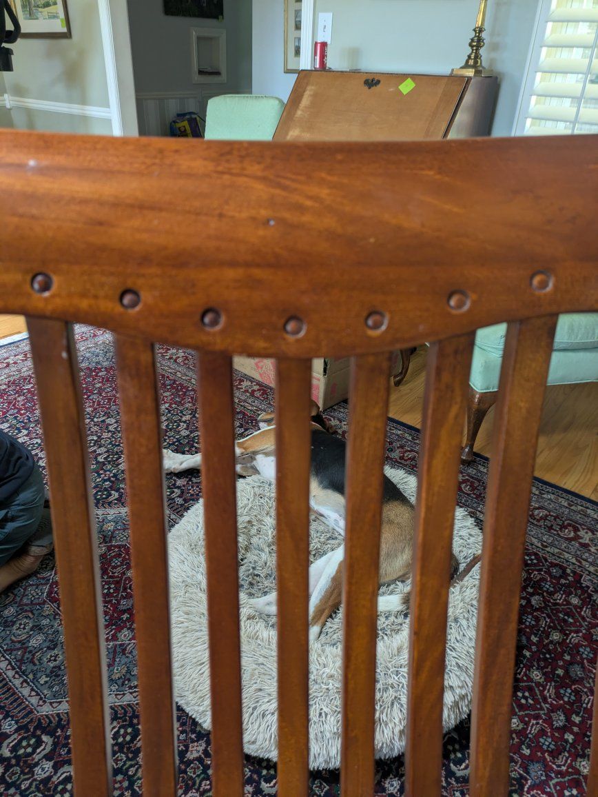 Main image 5