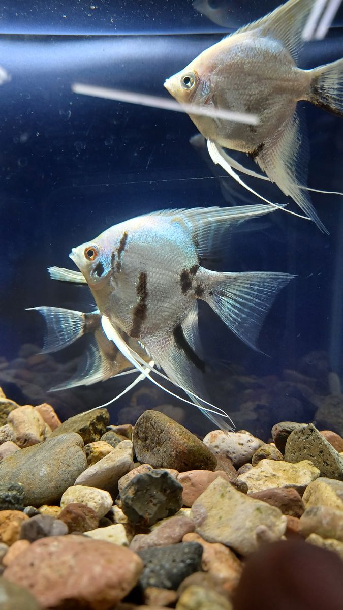 Main image 4