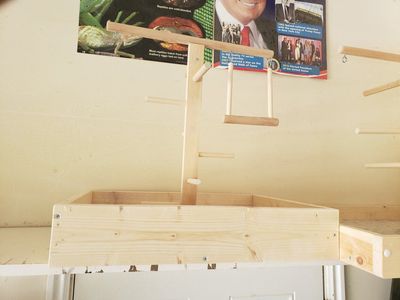 bird playpen