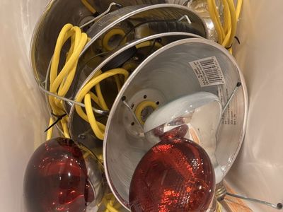 Lot of 4 Clamp Work Lights / Brooder Lamps with Yellow Cords & Bulbs