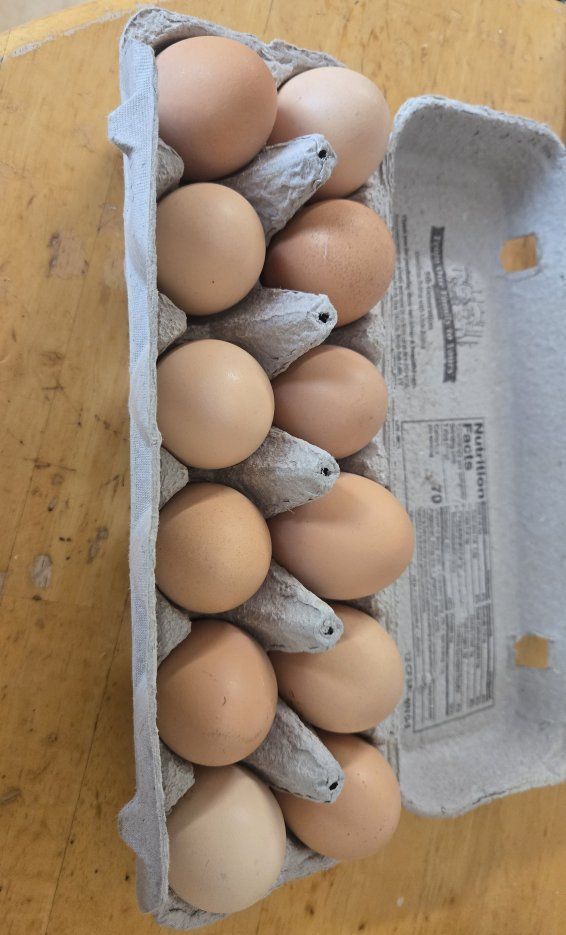 Farm Fresh Eggs for Sale!
