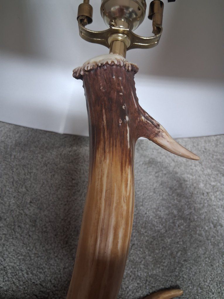 Main image 4