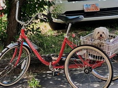 Red Worksman Tricycle .