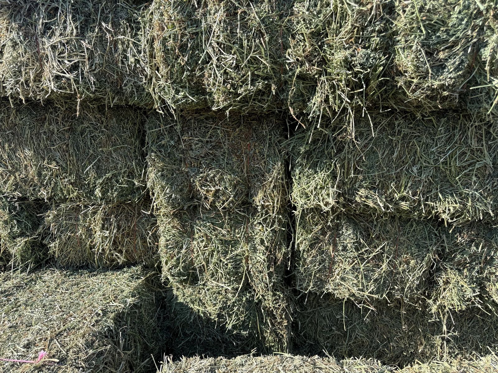 2nd crop Green Alfalfa Hay