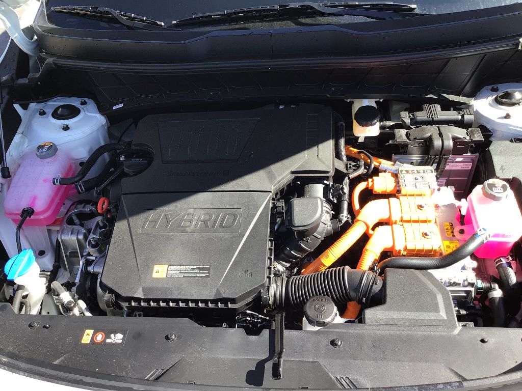 Main image 15