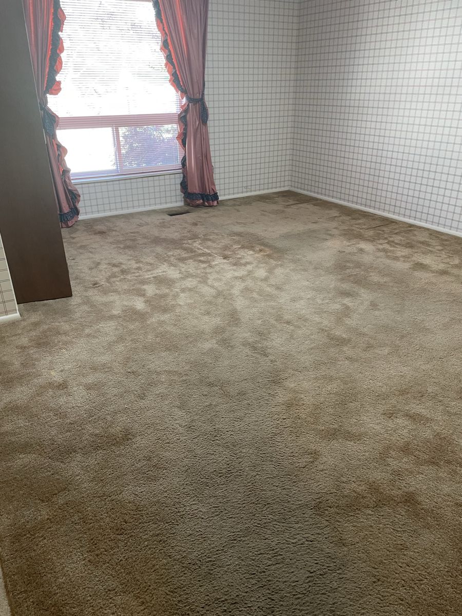 Free Carpet And Pad
