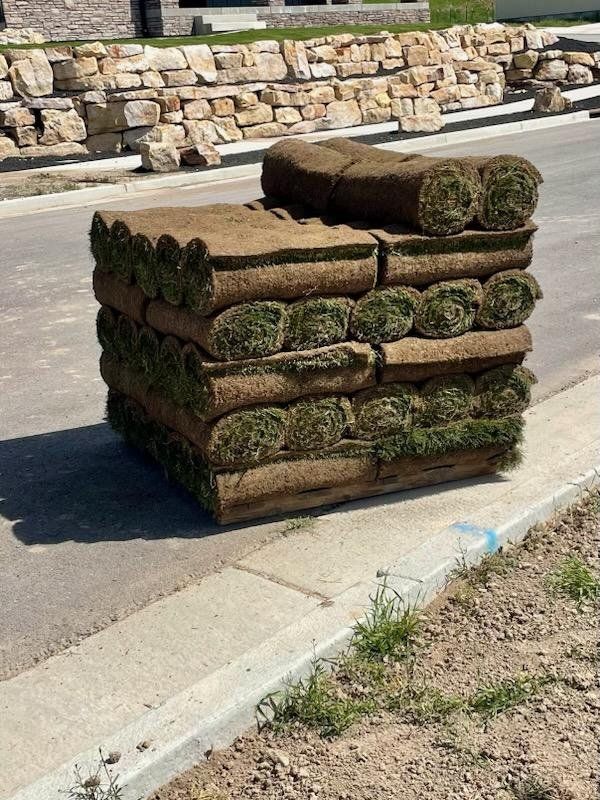 premium sod