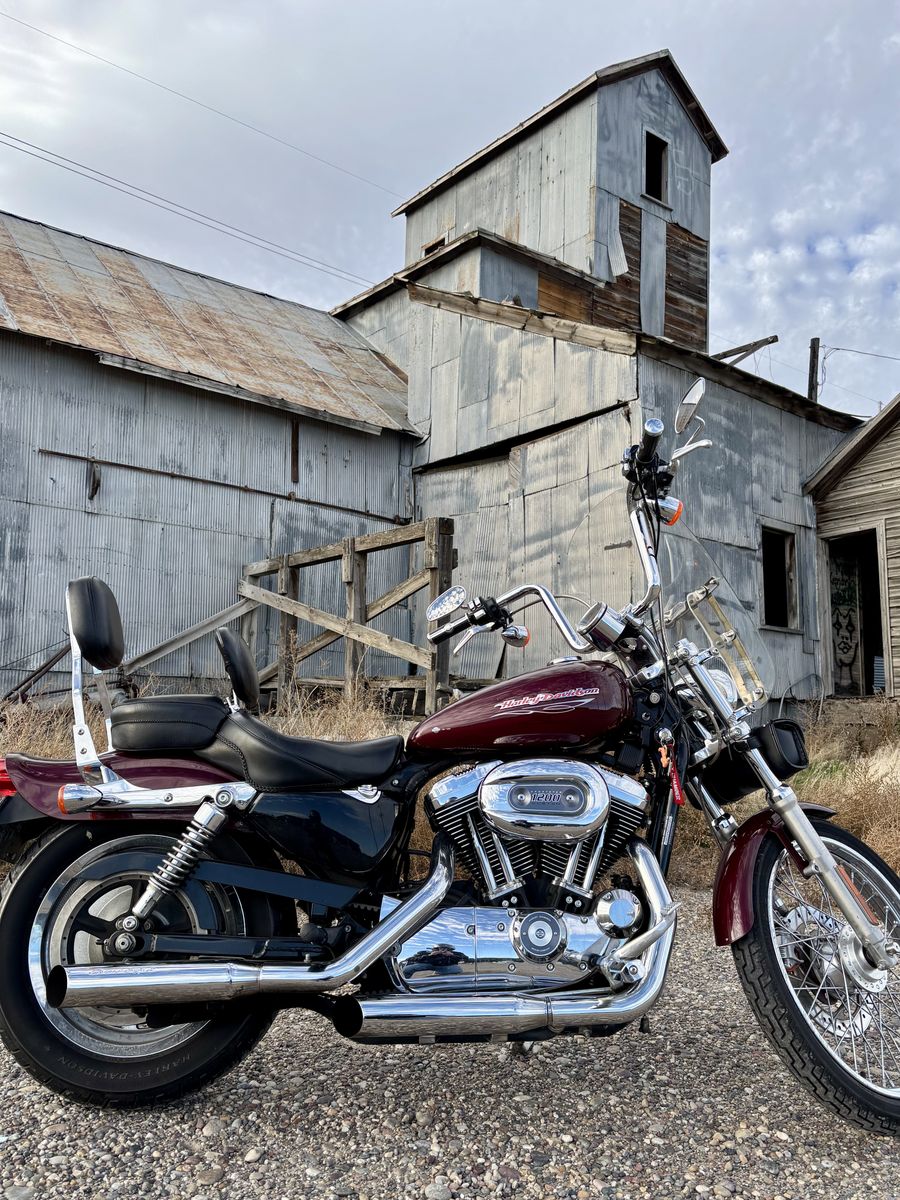 1 Of 200 2005 Harley XL1200C Sportster