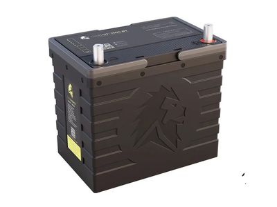 Lion Energy Batteries, 12V, Lithium LiFePO4
