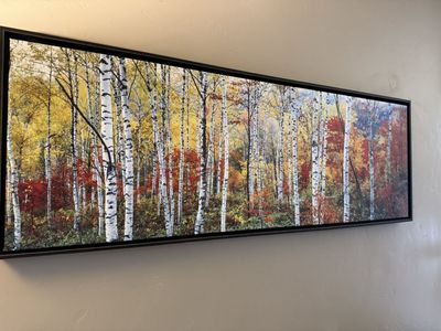 Living estate sale