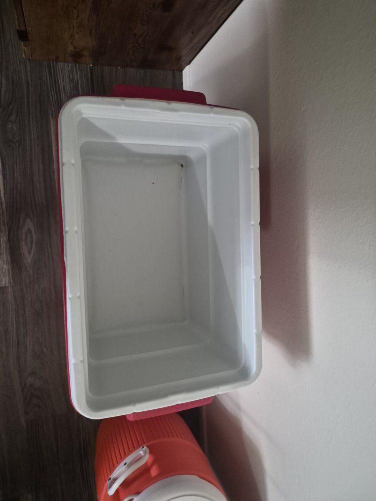 Main image 4