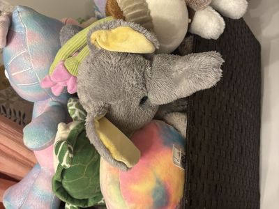 About 20 stuffed animals in great condition