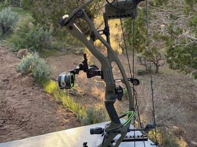 Hoyt RX-10