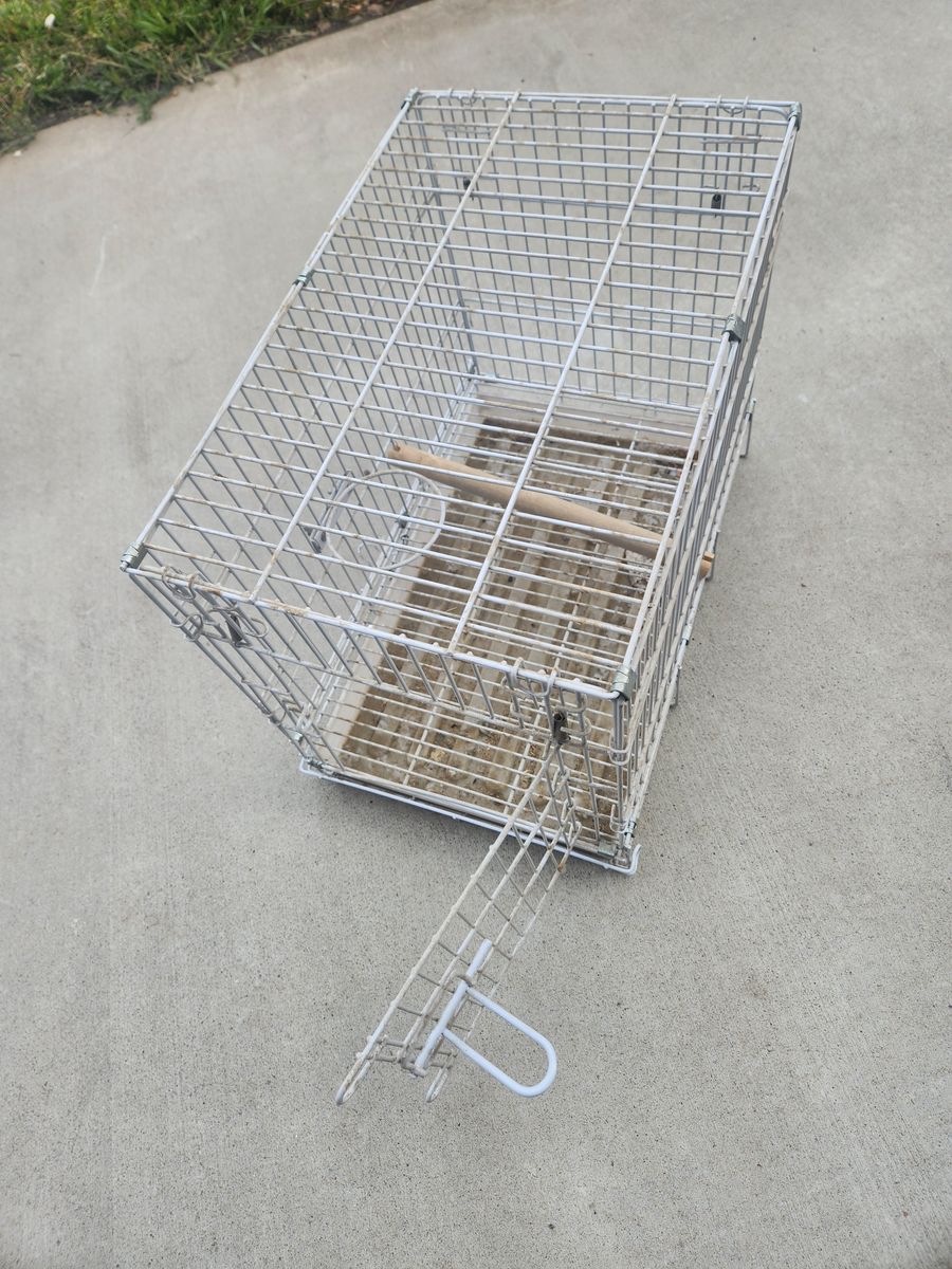 Small Portable Galvanized Birdcage
