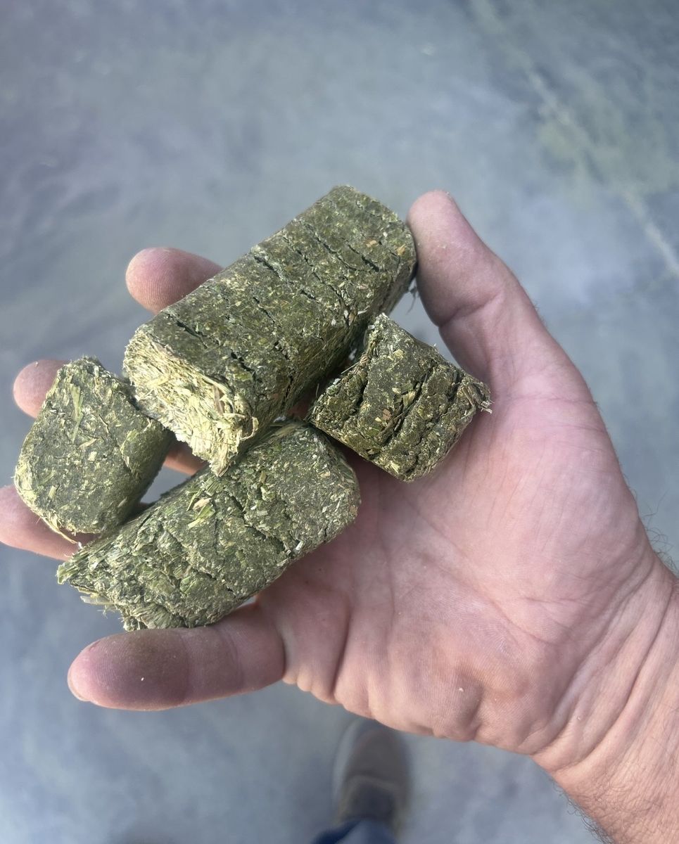 Scott Hay Alfalfa Hay Cubes - Fresh, Clean, Zero Waste Animal Feed from Delta, Utah