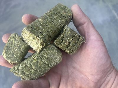 Scott Hay Alfalfa Hay Cubes - Fresh, Clean, Zero Waste Animal Feed from Delta, Utah