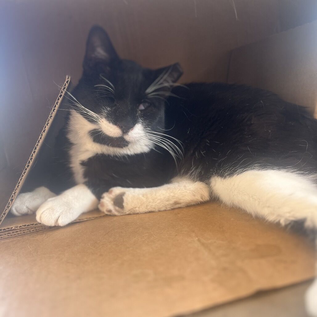 Hello my name is Trent