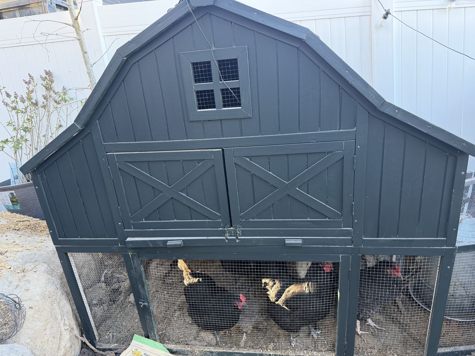 Large coop for lots of hens!