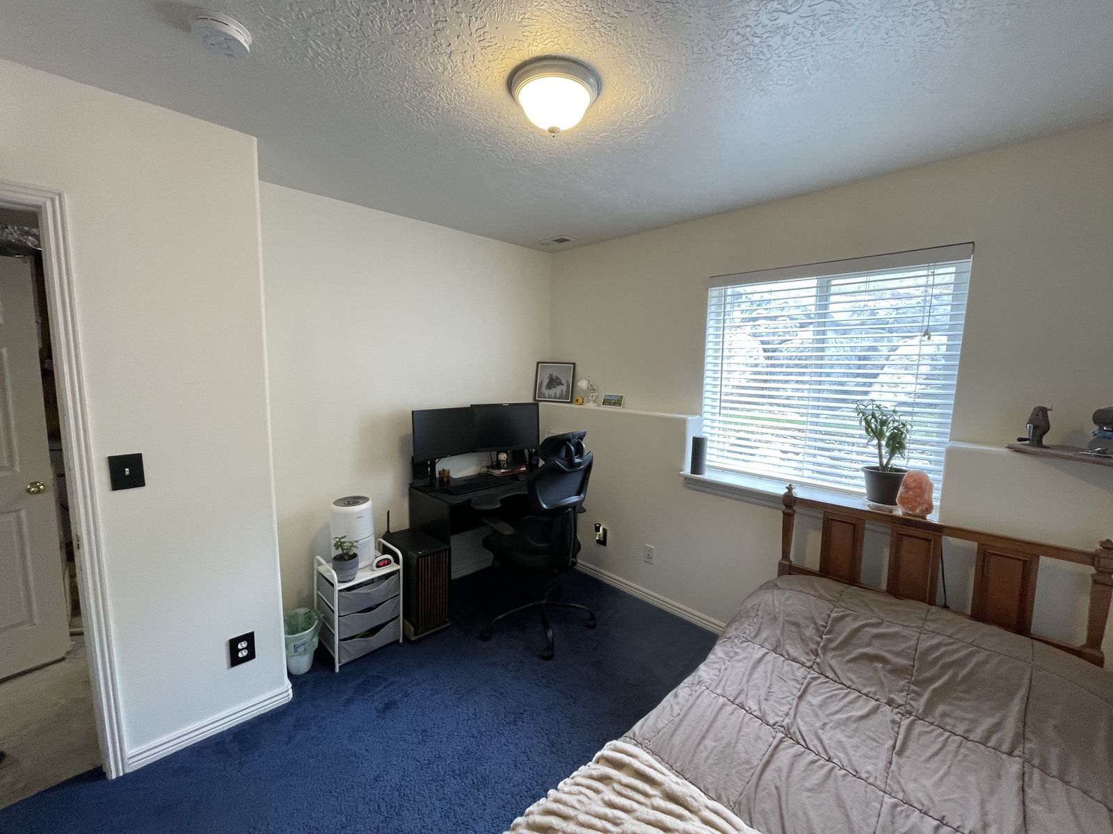 Main image 11