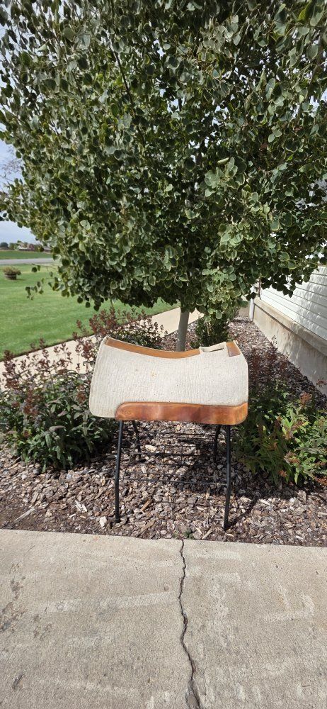 5 star saddle pads