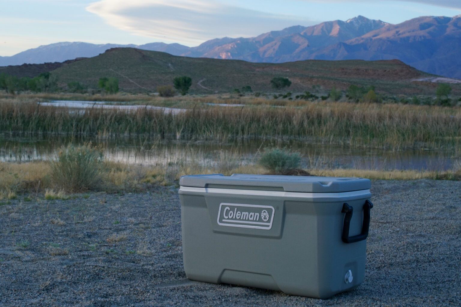 Classic Series 70-Quart Hard Cooler