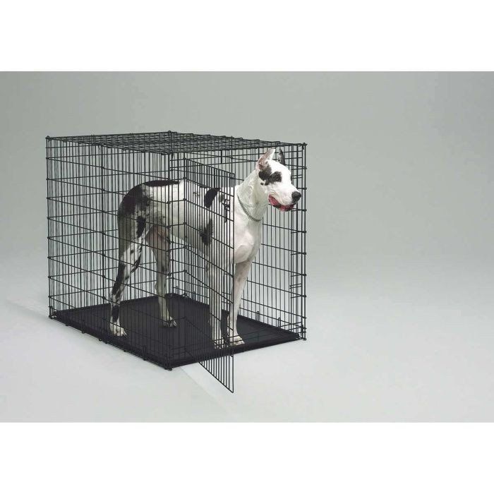 XXL Giant Dog Crate 54" x 36"