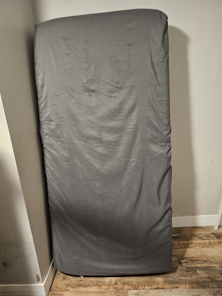 FREE Twin Mattress