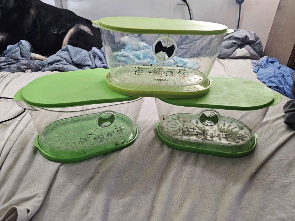 Veggie Storage Containers