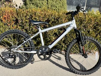 20 Inch 7 Speed Mountain Bike