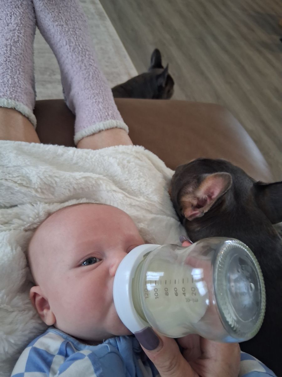 In home quality child care