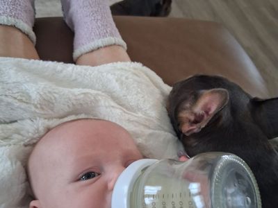 In home quality child care