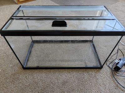 10 gallon aquarium setup
