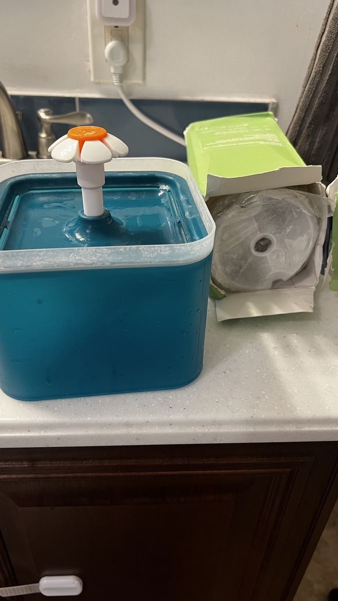 Cat drinking fountain with filters
