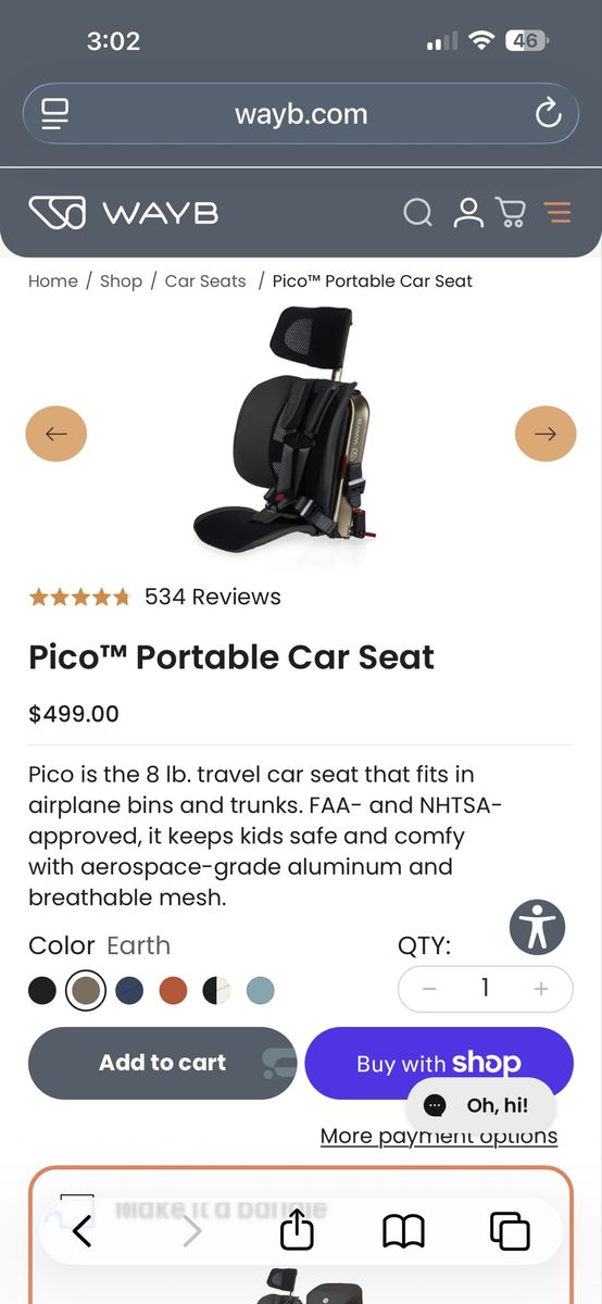 Wayb Pico Travel Carseat