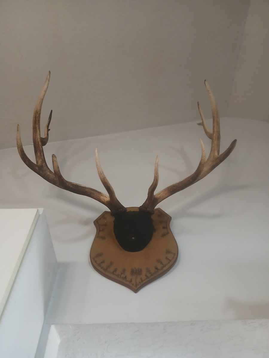 Main image 4