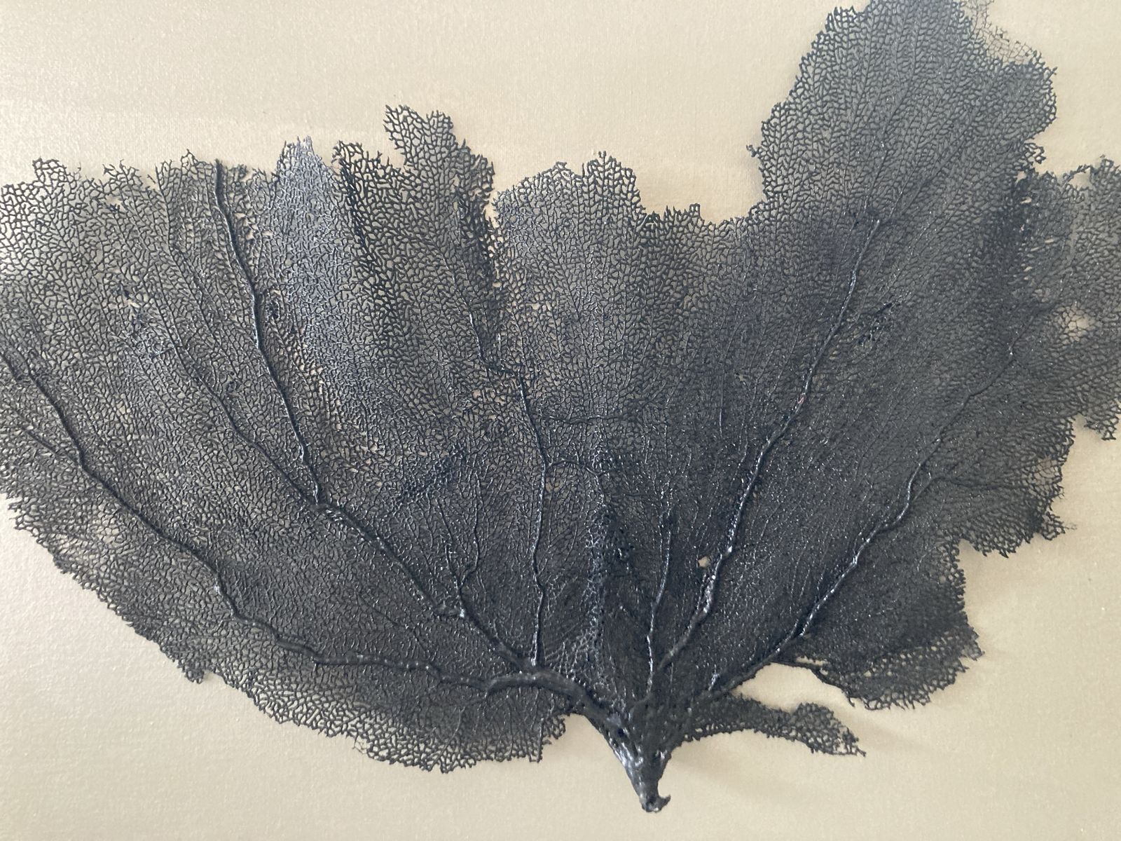 Main image 4