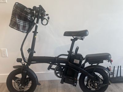 Electric Bike For Adults And Teens